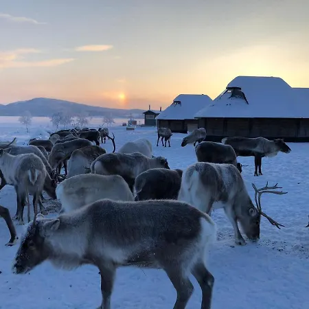 Arctic Land Adventure Glass Igloos קילפיסיארבי