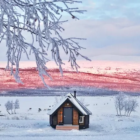 منتجع Arctic Land Adventure Glass Igloos *