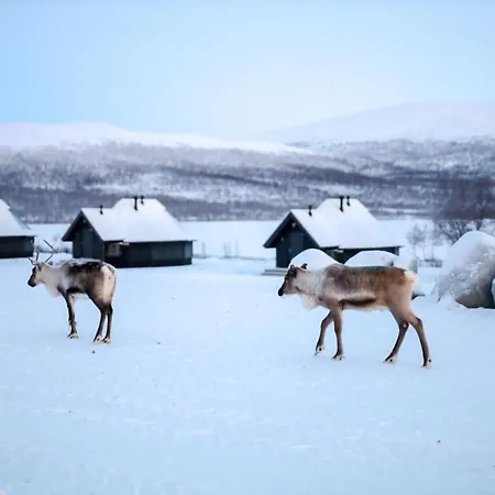 Arctic Land Adventure Glass Igloos Kilpisjärvi