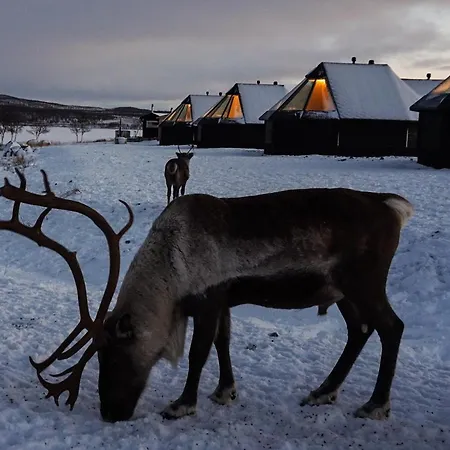 Arctic Land Adventure Glass Igloos *
