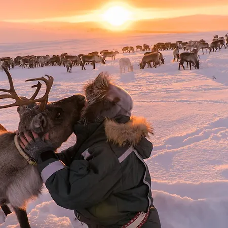 Resort Arctic Land Adventure Glass Igloos *
