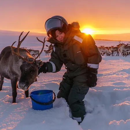 Arctic Land Adventure Glass Igloos * Kilpisjärvi