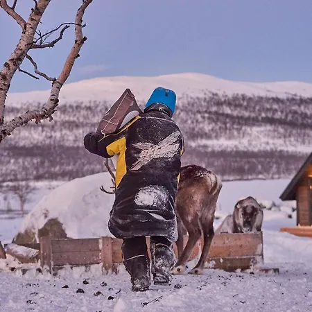 Arctic Land Adventure Glass Igloos منتجع *