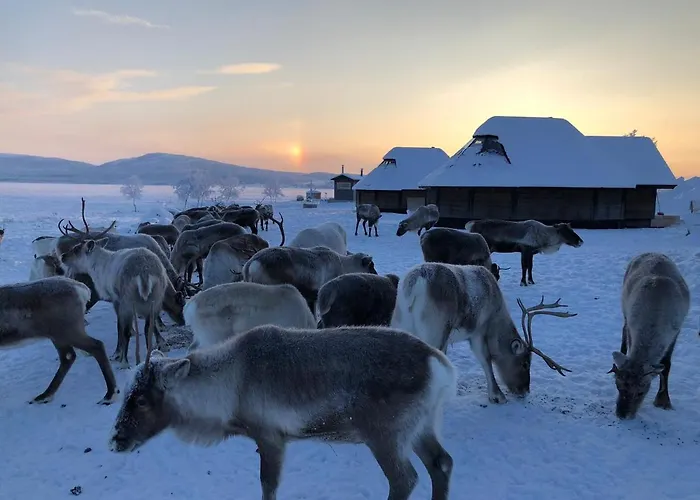 Arctic Land Adventure Glass Igloos קילפיסיארבי