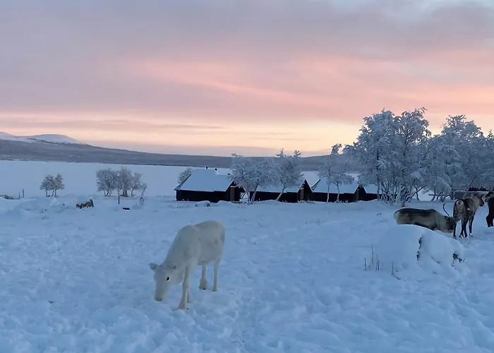 Arctic Land Adventure Glass Igloos אתר נופש *