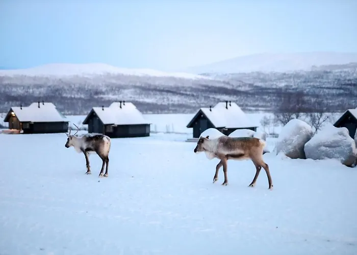 Arctic Land Adventure Glass Igloos קילפיסיארבי