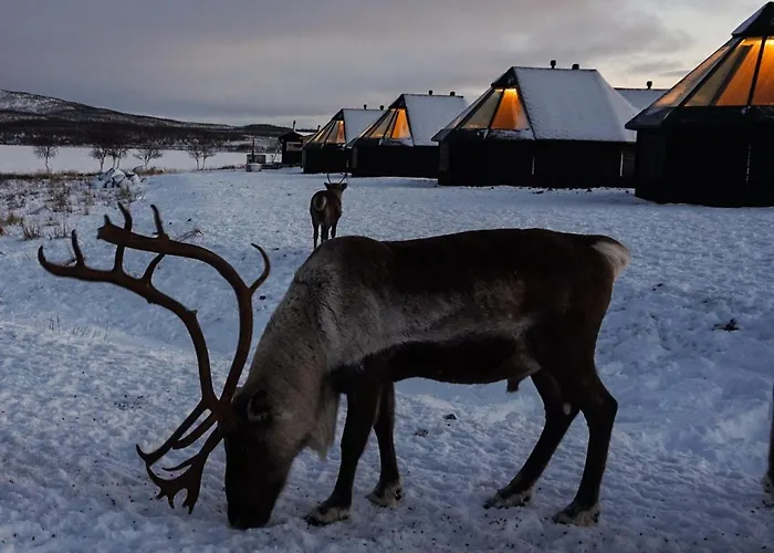 Arctic Land Adventure Glass Igloos *