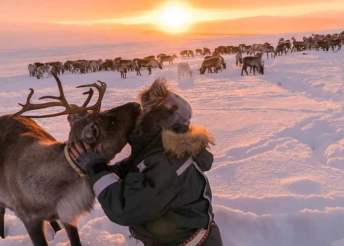 אתר נופש Arctic Land Adventure Glass Igloos *