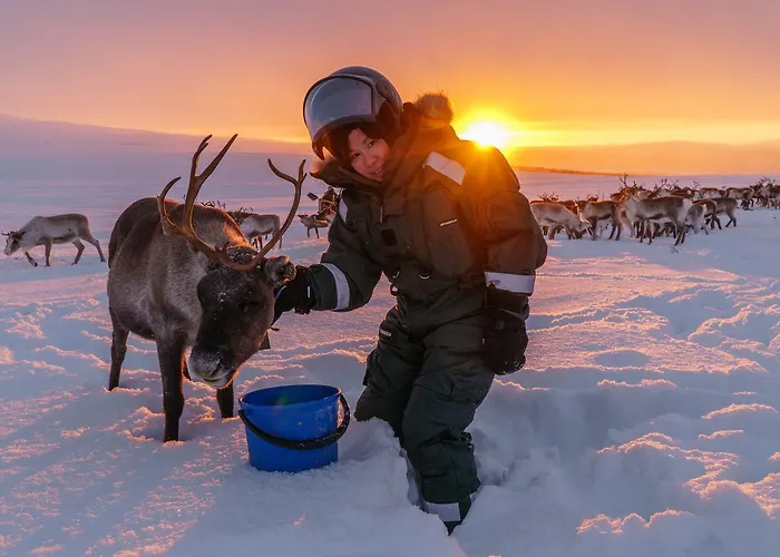 Arctic Land Adventure Glass Igloos * קילפיסיארבי