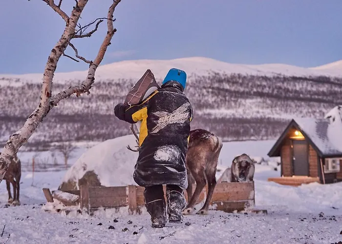 Arctic Land Adventure Glass Igloos אתר נופש *